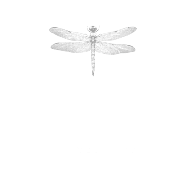 TK & Co. - Rocky Hill, CT florist