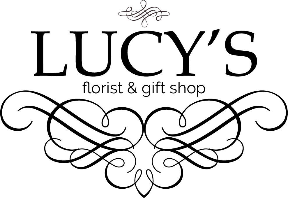 Lucy's Florist - Santa Monica, CA florist