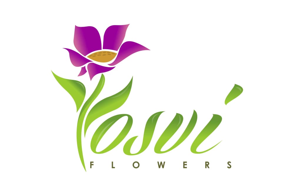 Yosvi - Miami, FL florist