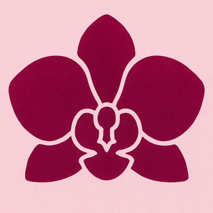 Aleman Bloom - Falls church, VA florist