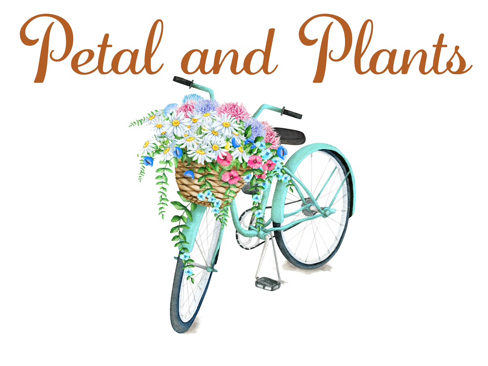 Petal and store