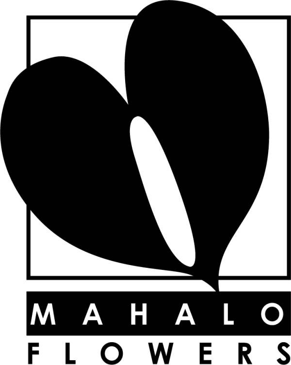 Mahalo Flowers - Los Angeles, CA florist