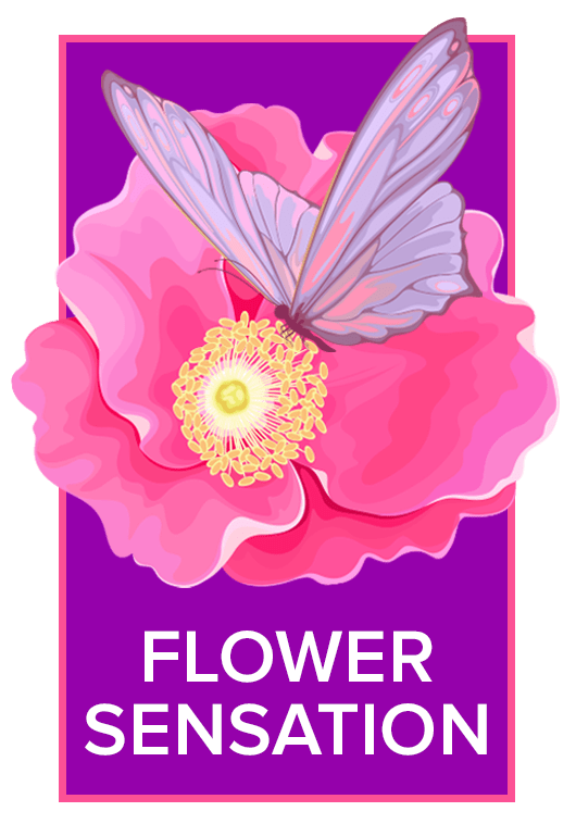 Flower Sensation - Chula Vista, CA florist