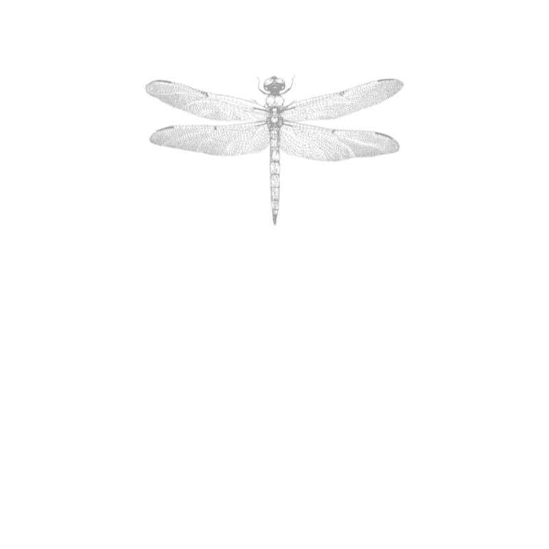 TK & Co. - Rocky Hill, CT florist