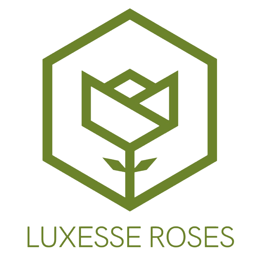 Luxesse Roses - Herriman, UT florist