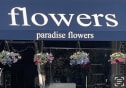 Paradise Flowers - Belmont, MA florist