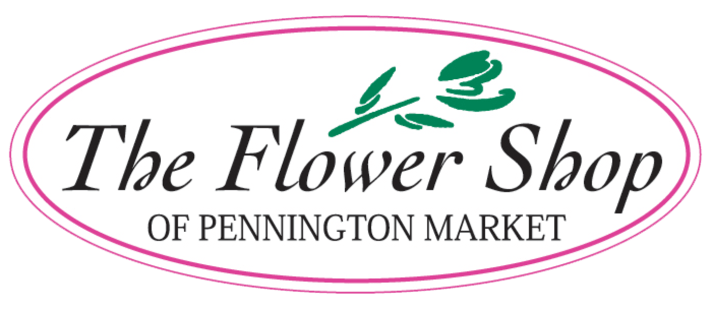 Citrus Splash by BloomNation™ in Pennington, NJ | The Flower