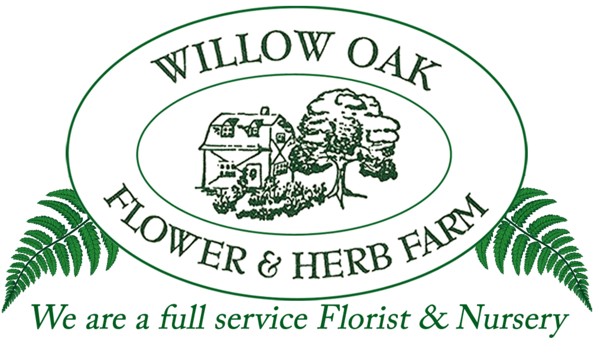 Evergreen Juniper Boughs — Willow Oak Flower Farm