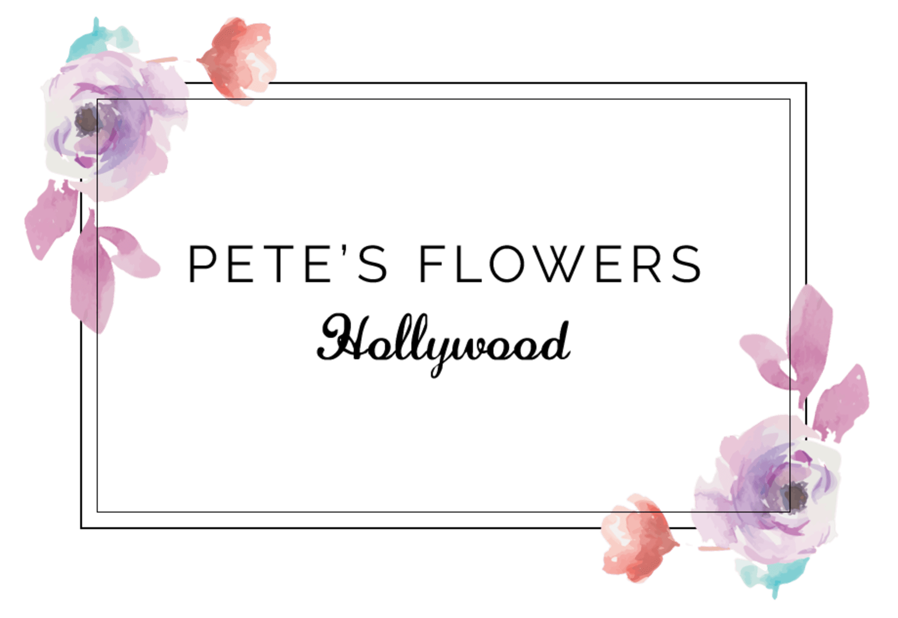 Rose Petals in Hollywood, CA