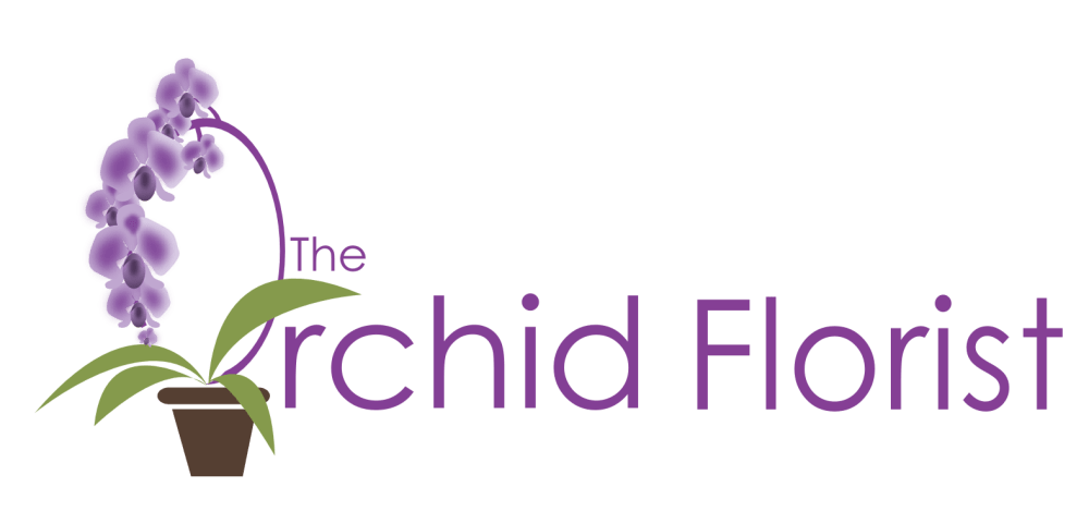 Waterbury Florist Flower Delivery By The Orchid Florist