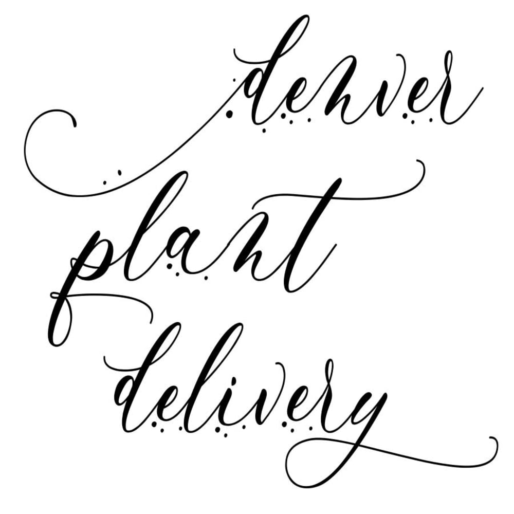 Centennial Florist Flower Delivery By Denver Plant Delivery