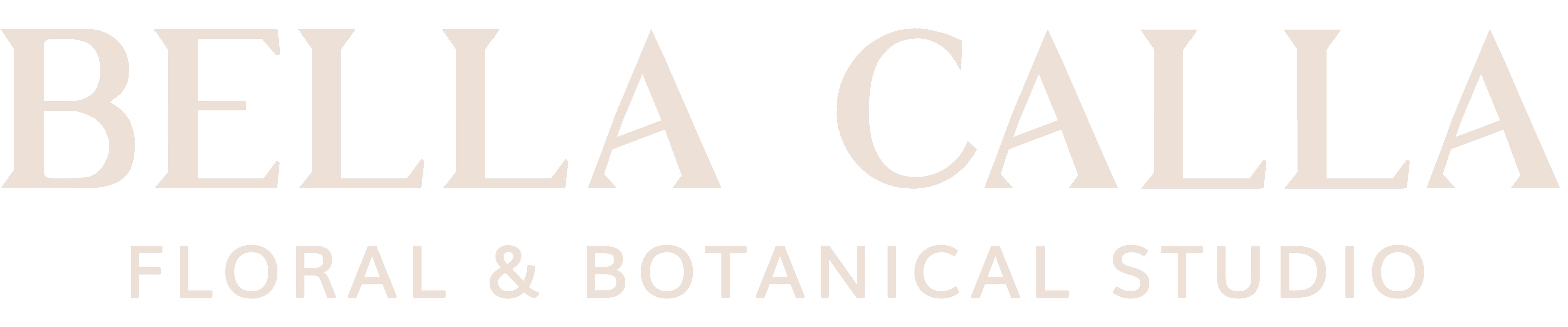 Simple Succulent Garden In Colorado Springs Co Bella Calla Colorado Springs