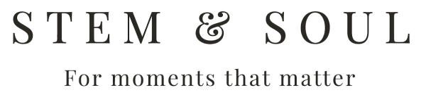 STEM & SOUL Logo