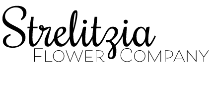 Strelitzia Flower Company Logo