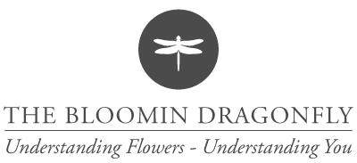 The Bloomin' Dragonfly Florist Logo