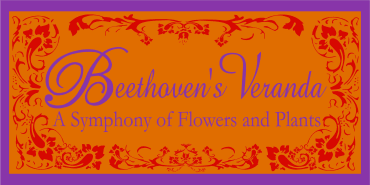 Beethoven’s Veranda Logo