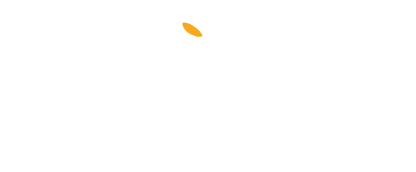 The Wild Daisy Logo