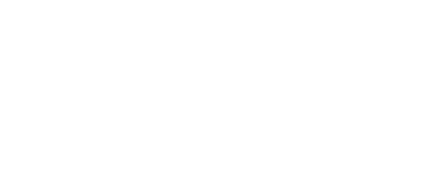 Flowers4You Logo
