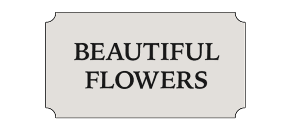 Beautiful Flowers Logo