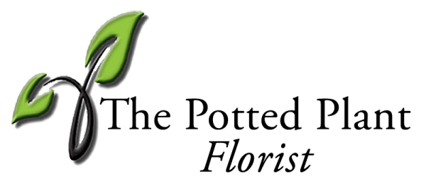 The Potted Plant Logo
