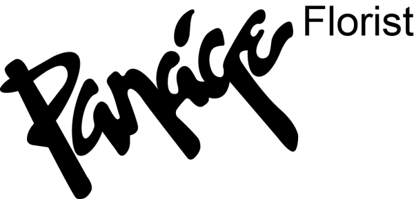 Panage Logo