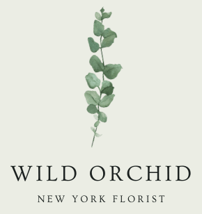 Wild Orchid Logo