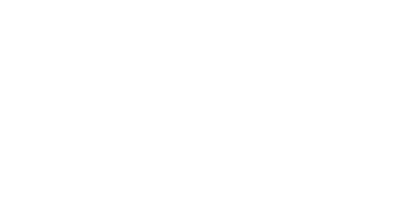 Leo's Metropolitan Florist Logo