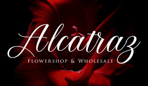 Alcatraz Flowershop & Wholesale Logo