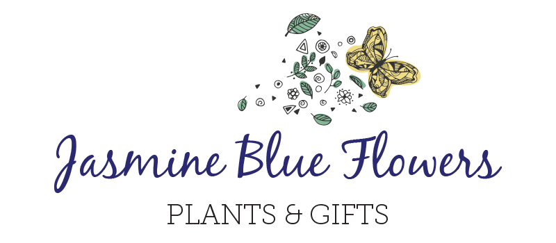 Sherman Oaks Florist Flower Delivery By Jasmine Blue Flowers Plants Gifts