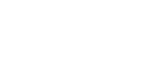 Flora Chicago  Logo