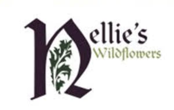 Nellie's Wildflowers Logo
