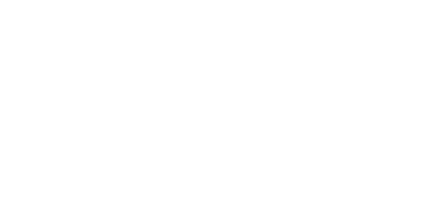 San Francisco Florist Flower Delivery By Petals A Flower Studio