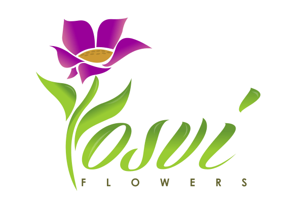 Yosvi Logo
