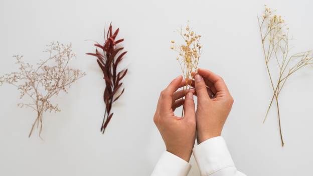 How to Dry Flowers: A Guide to Flower Preservation
