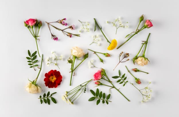 Filler Flowers: Adding Depth to Arrangements