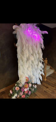 Feather Wall Back Drop Rental