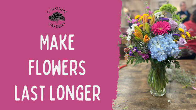 Make Your Flowers Last Longer