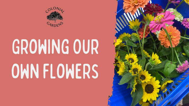 Growing Our Own Flowers
