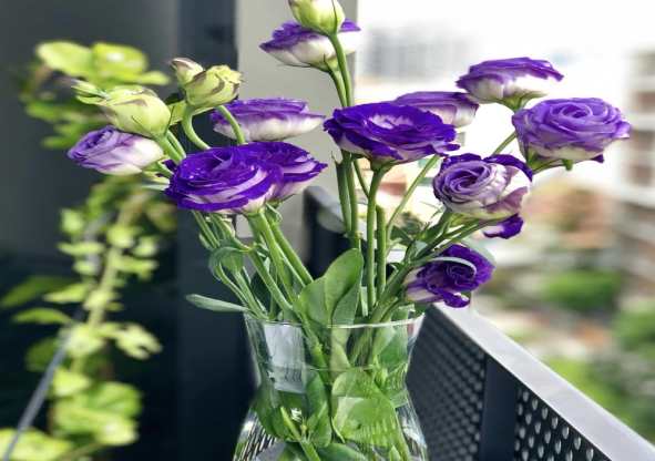 Lisianthus