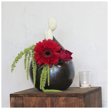 Gerbera Daisies In Denver Flower Delivery Blog Twisted Tulip We make daily flower deliveries to all denver area hospitals, churches, funeral homes, mortuaries and cemeteries. denver florist