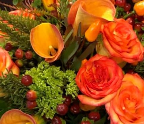 Giving Thanks for ALL of YOU!