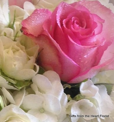 Small acts of Kindness!