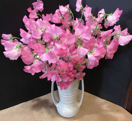 Galentine's Day February 13th 