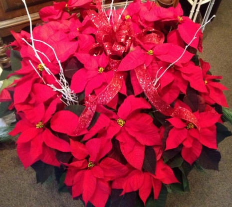 Send A Little Sparkle