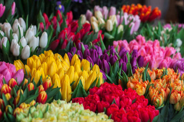 The Simple Joy of Flowers