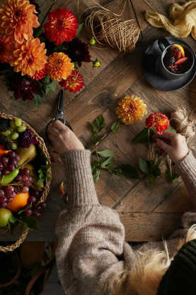 Popular Flowers for the Autumn Season