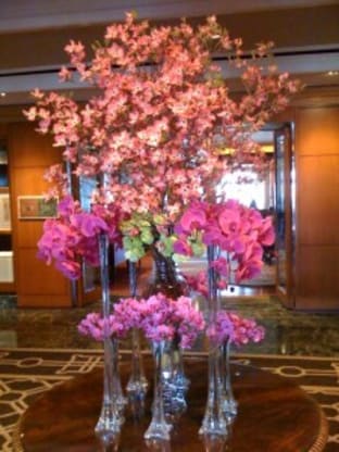 Pink Dogwood at Ritz Carlton Hotel