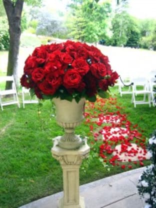 Backyard Garden Wedding