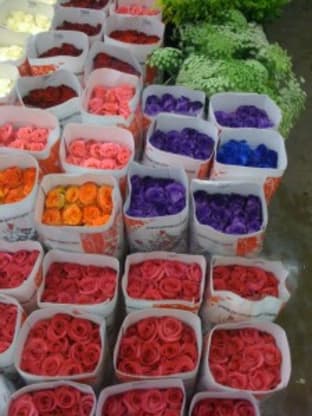 Spring at the Flower Market