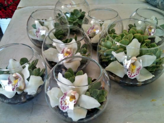 Cute Cocktail Arrangements